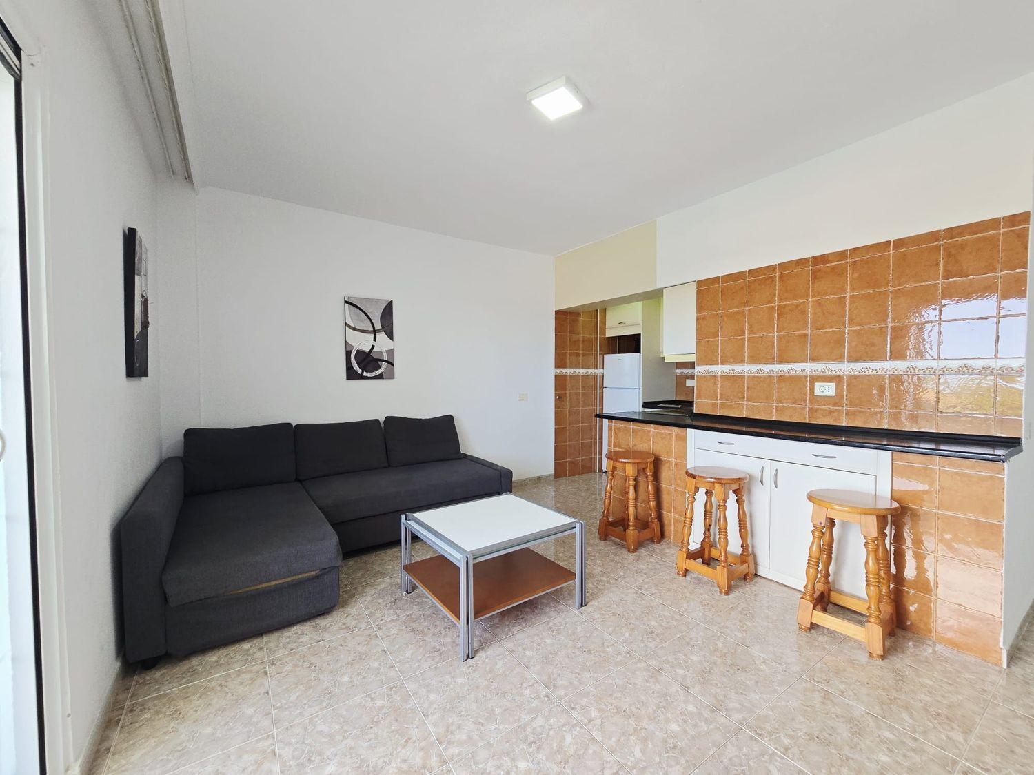 Flat for Sale in San Bartolomé de Tirajana