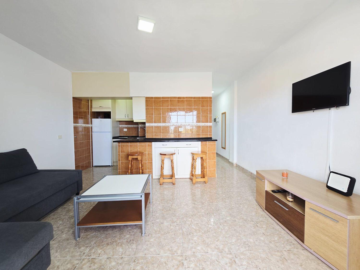 Flat for Sale in San Bartolomé de Tirajana