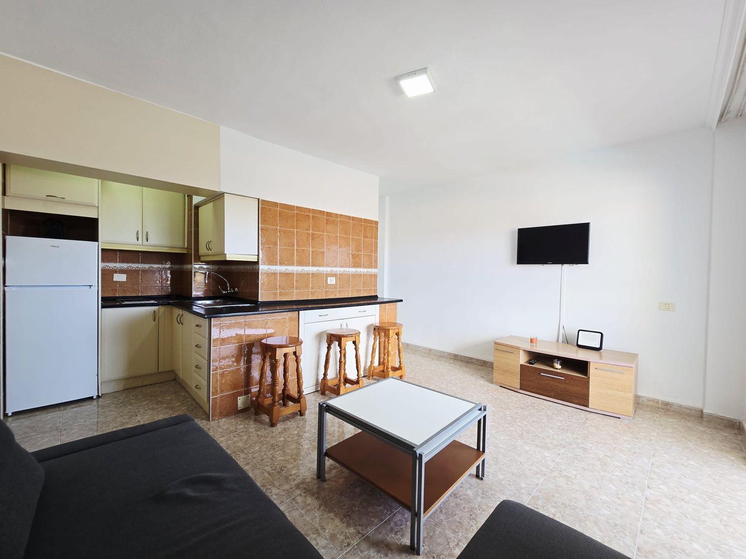 Flat for Sale in San Bartolomé de Tirajana