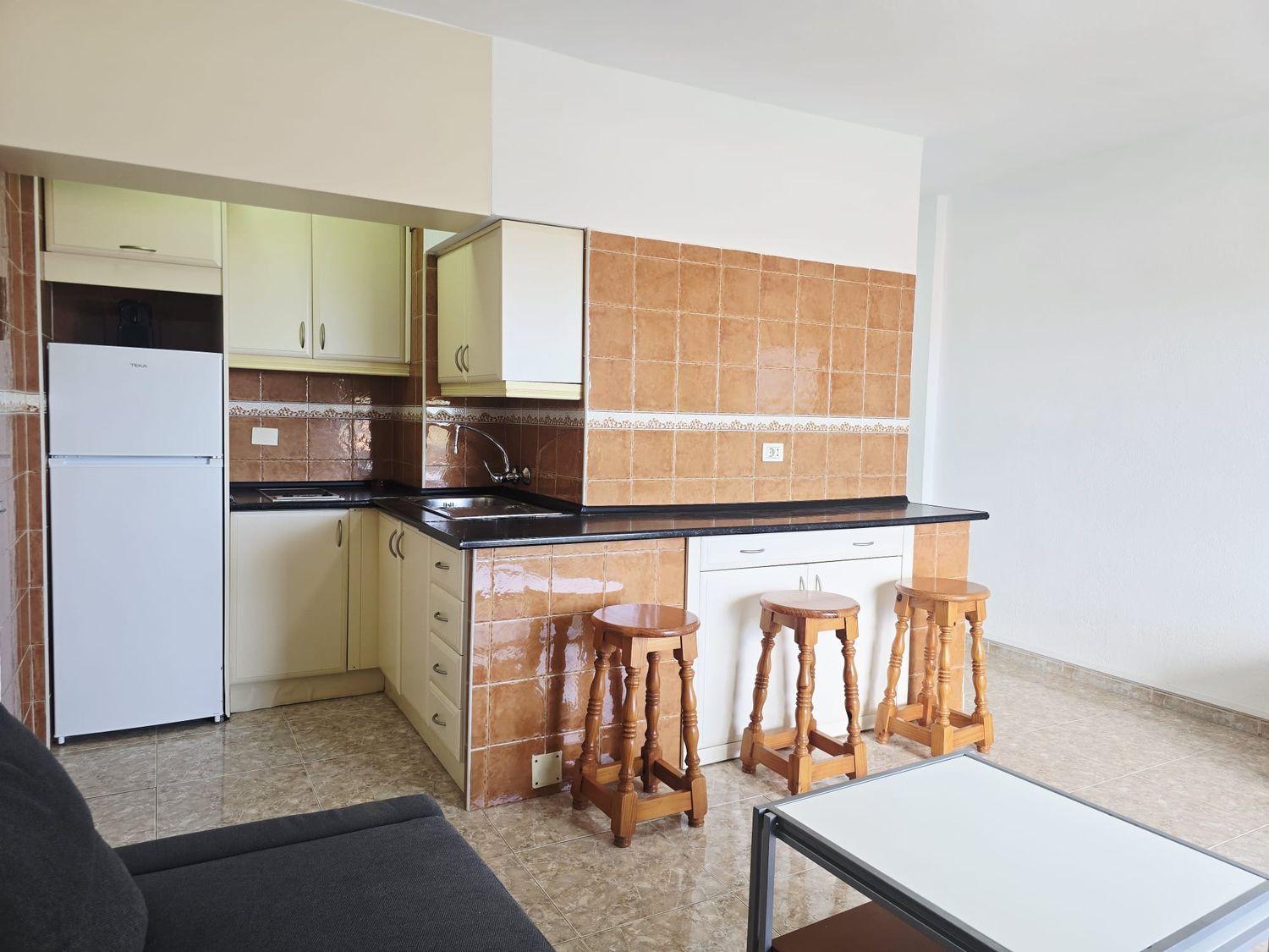 Flat for Sale in San Bartolomé de Tirajana