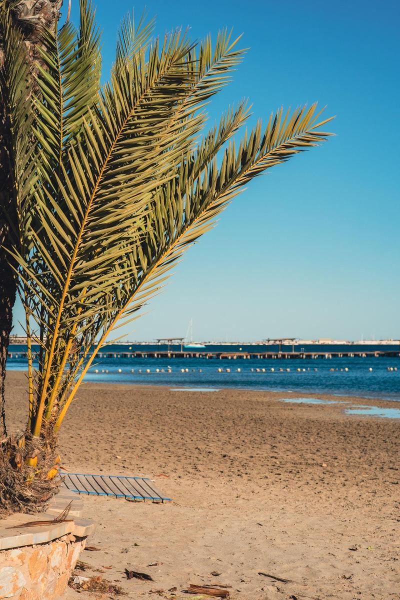 Penthouse for Sale in San Pedro del Pinatar