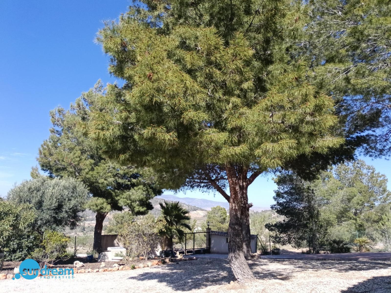 Villa for Sale in Abanilla