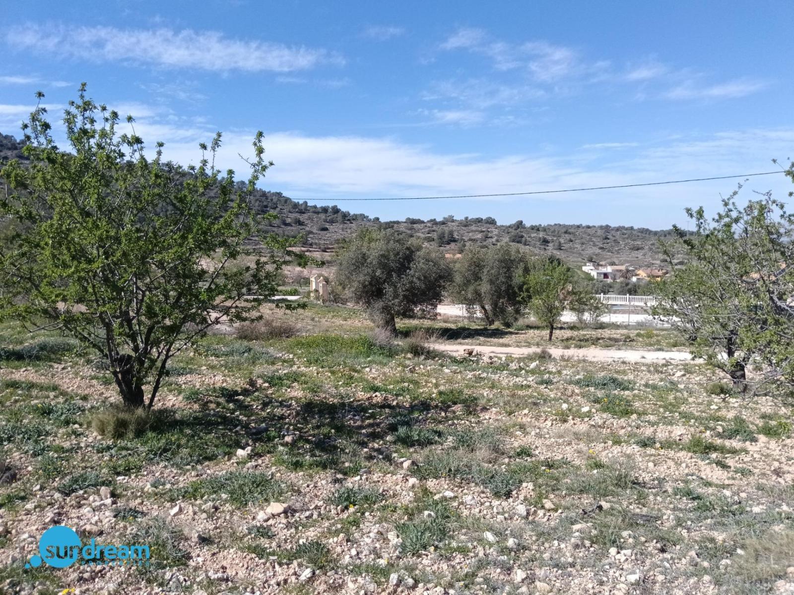 Villa for Sale in Abanilla
