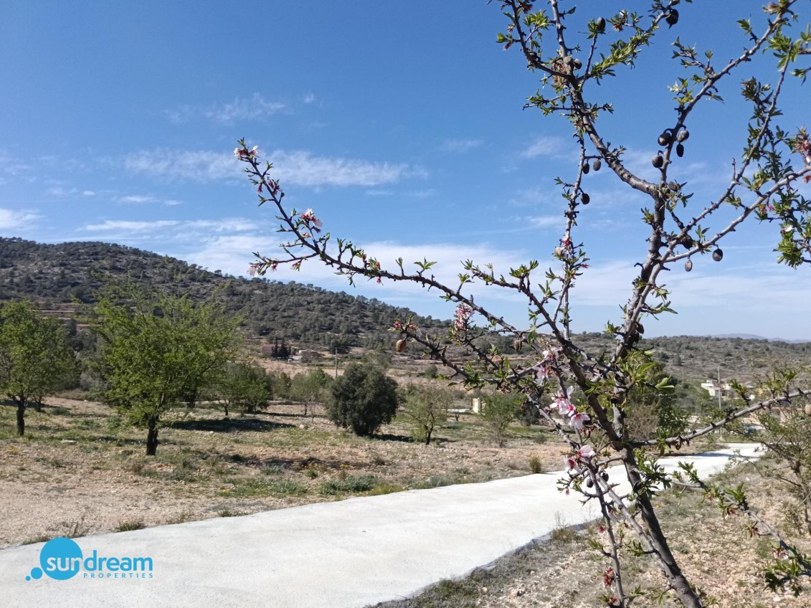 Villa for Sale in Abanilla