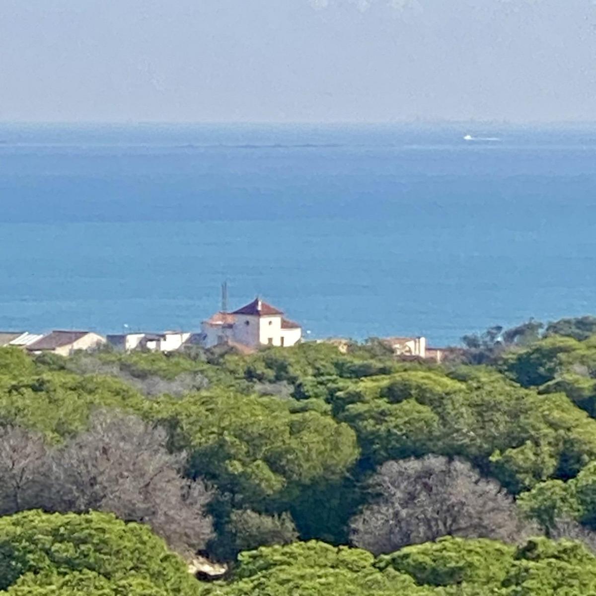 Piso en Venta en Guardamar del Segura