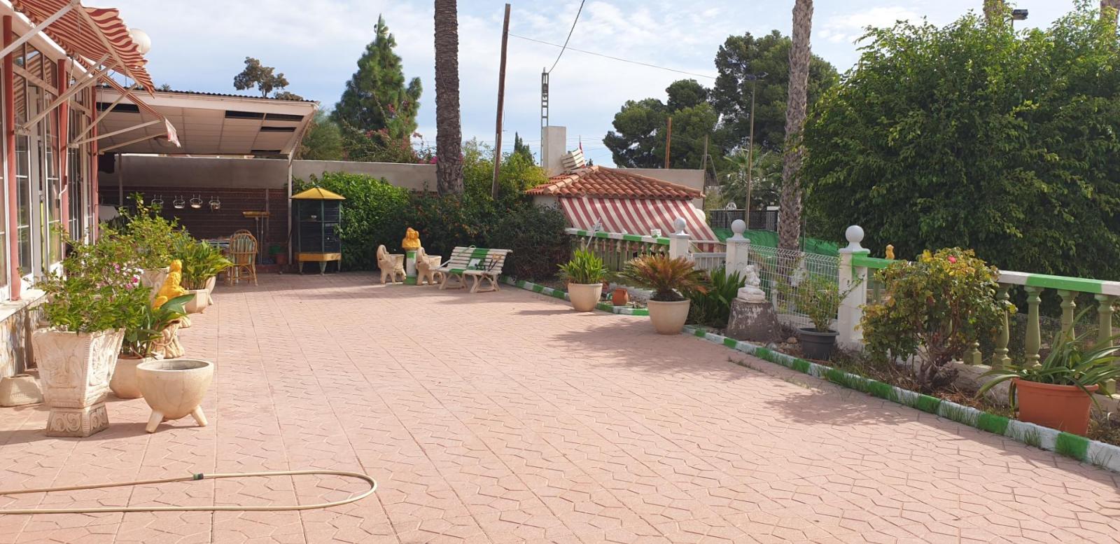Chalet for Sale in Elche
