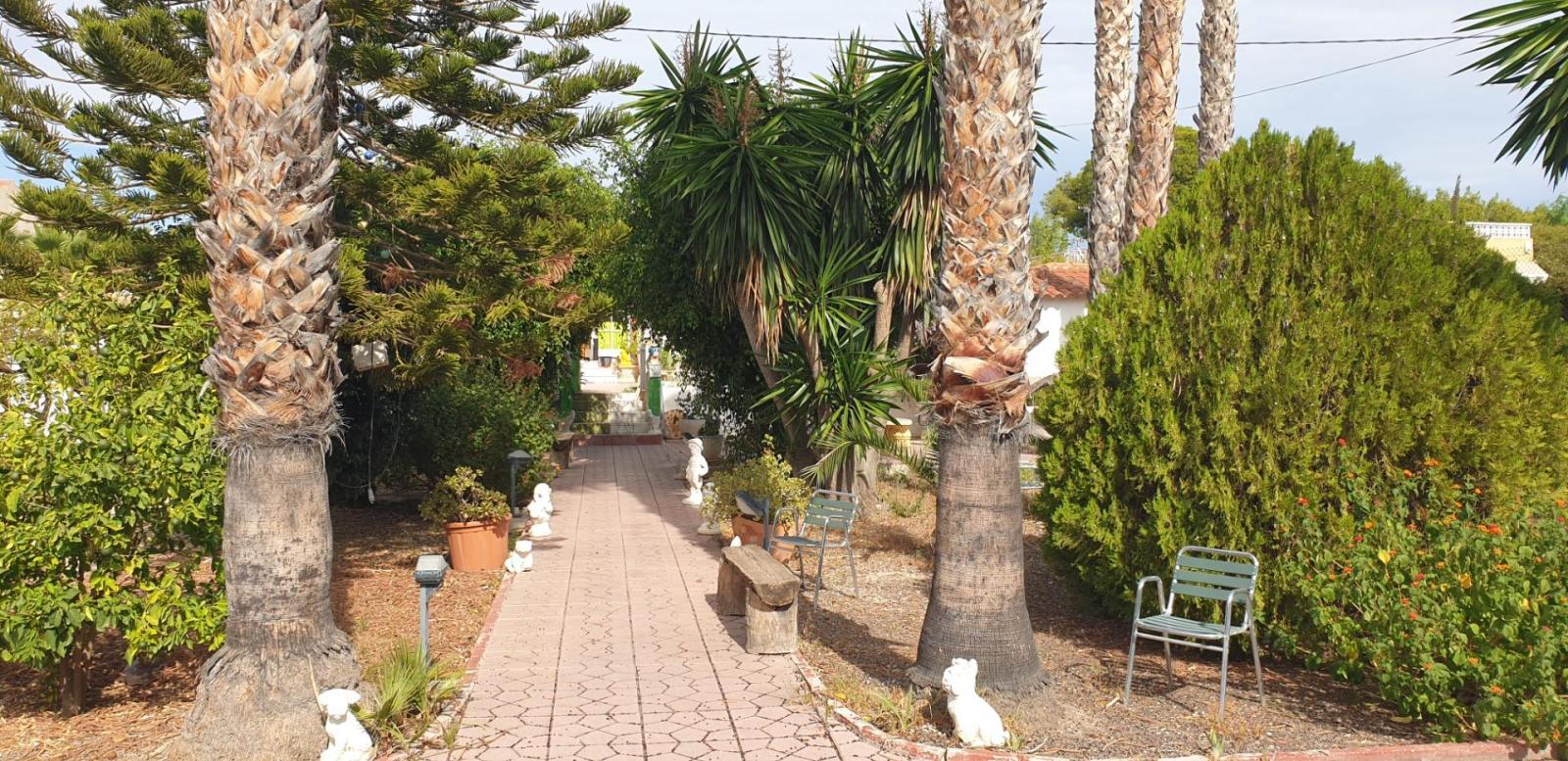 Chalet for Sale in Elche