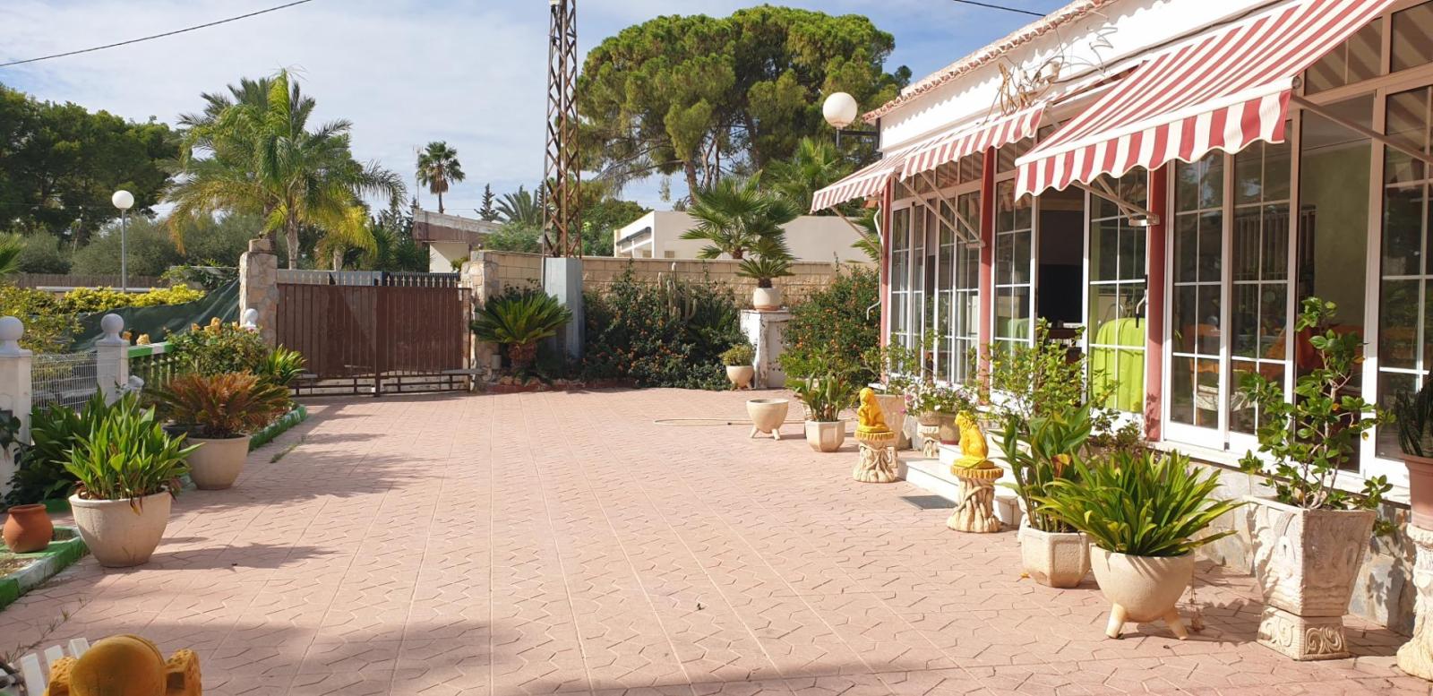 Chalet for Sale in Elche