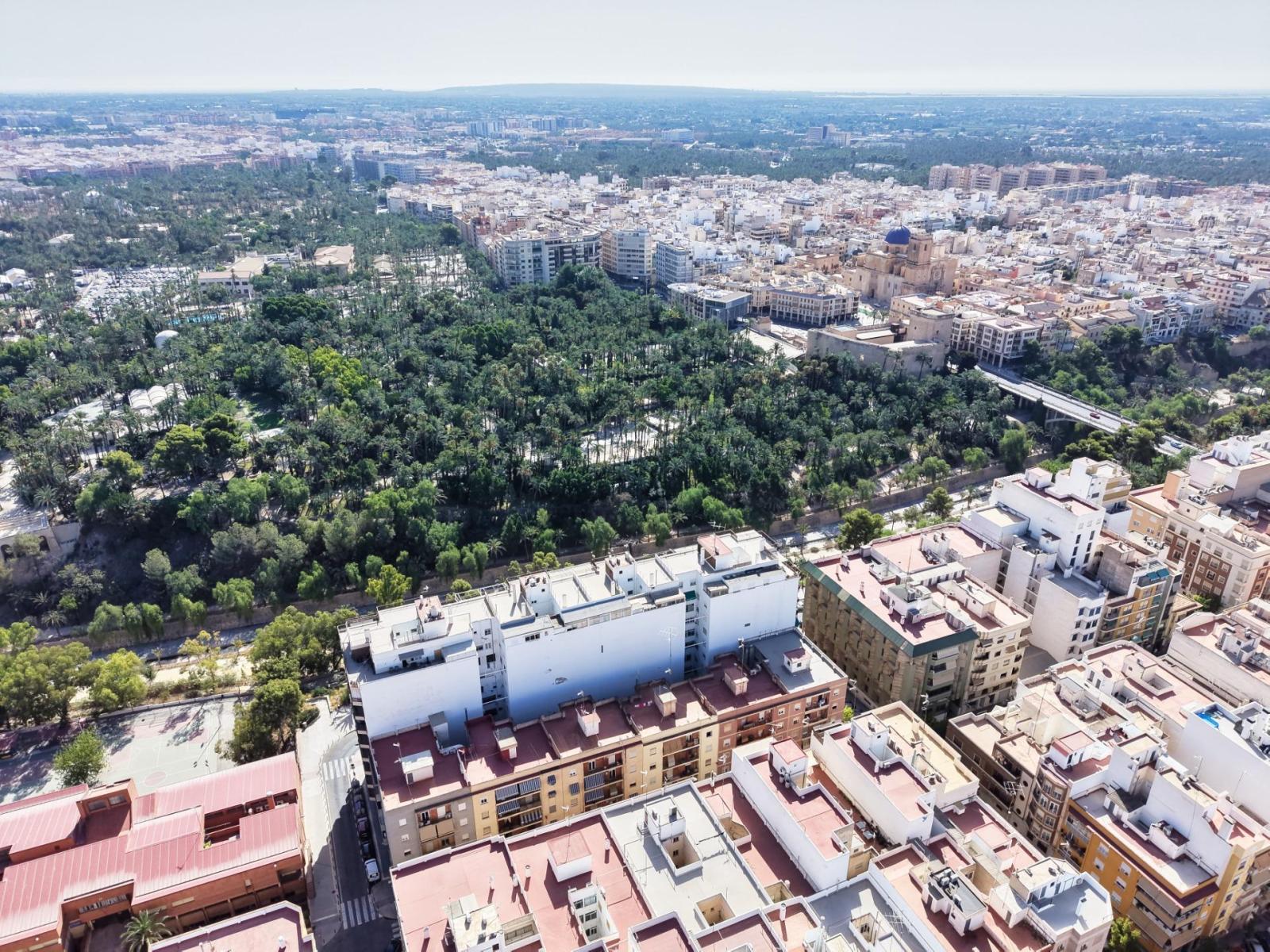 Flat for Sale in Elche
