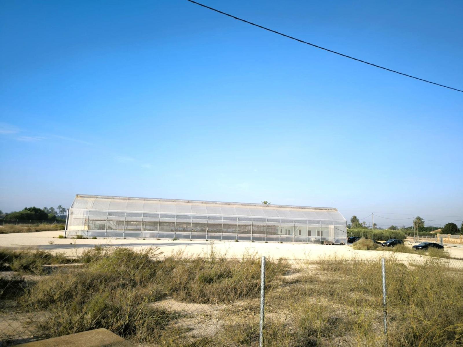 Parcela en Venta en Elche