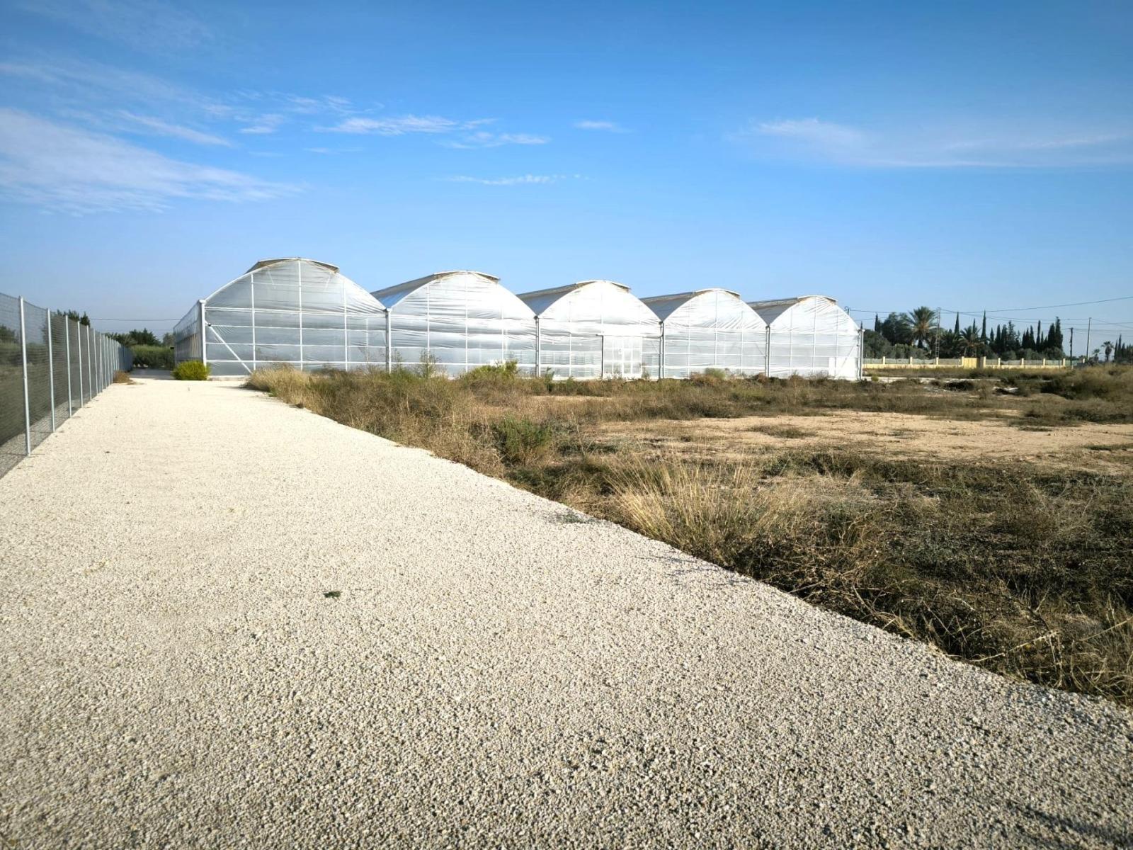 Parcela en Venta en Elche