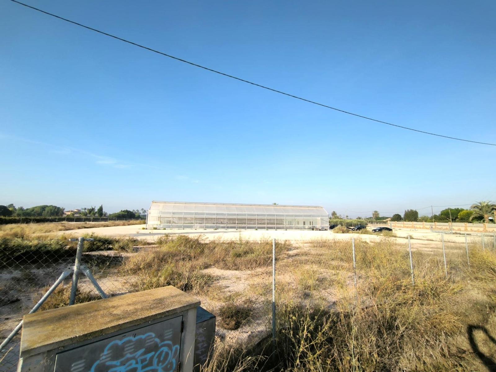Parcela en Venta en Elche