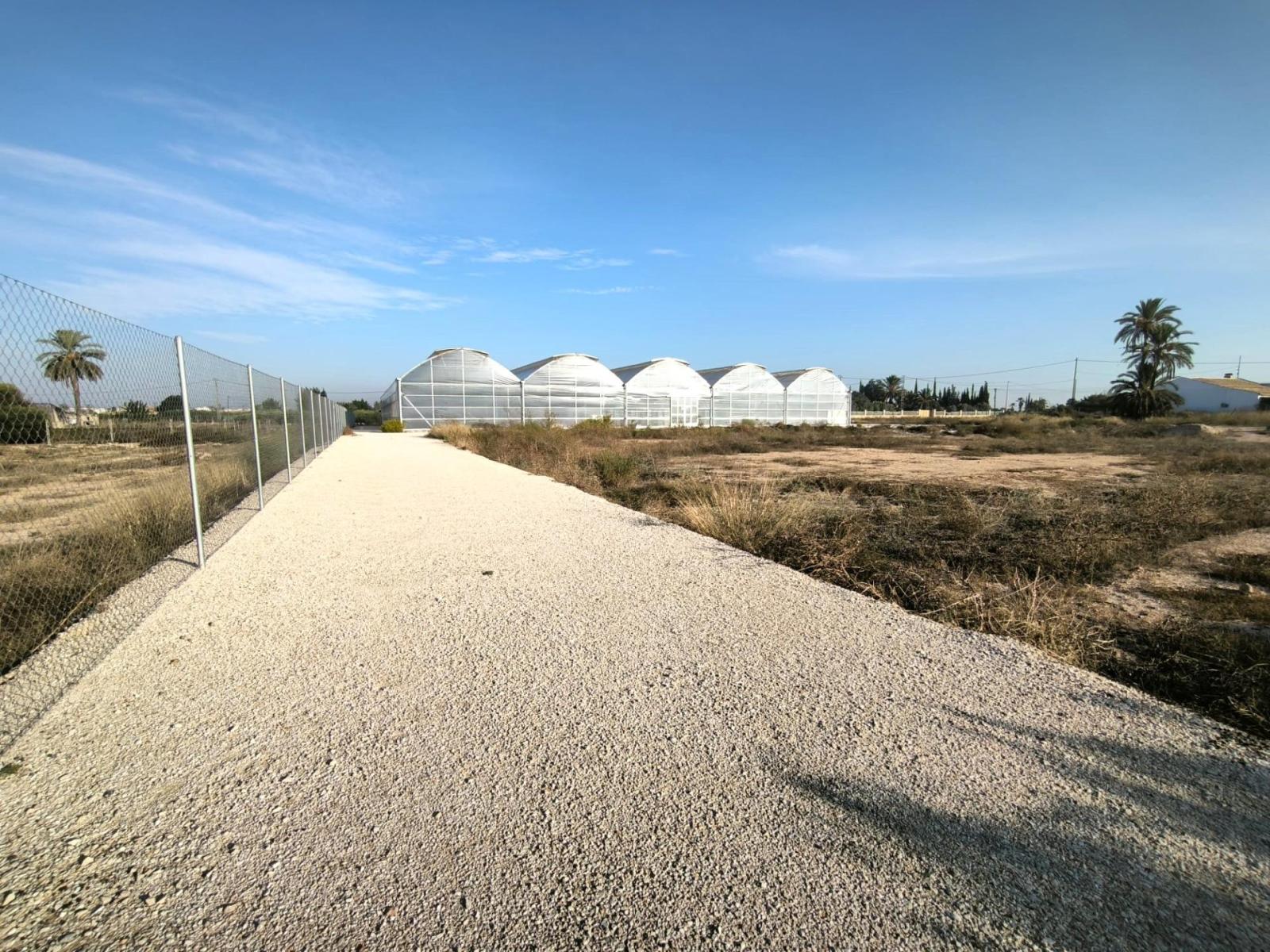 Parcela en Venta en Elche