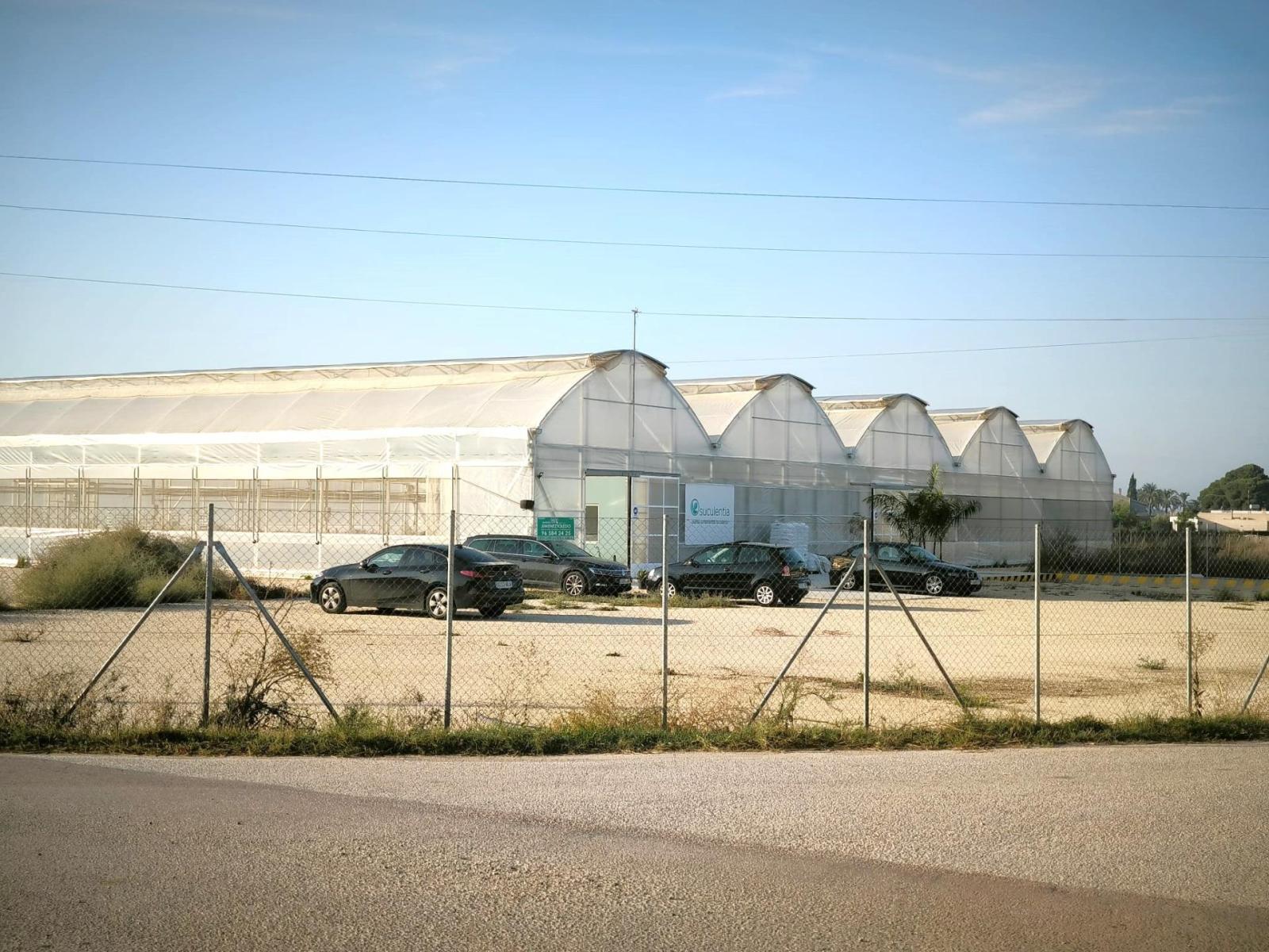 Parcela en Venta en Elche