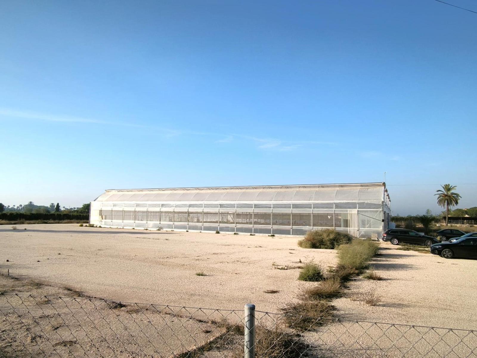 Parcela en Venta en Elche