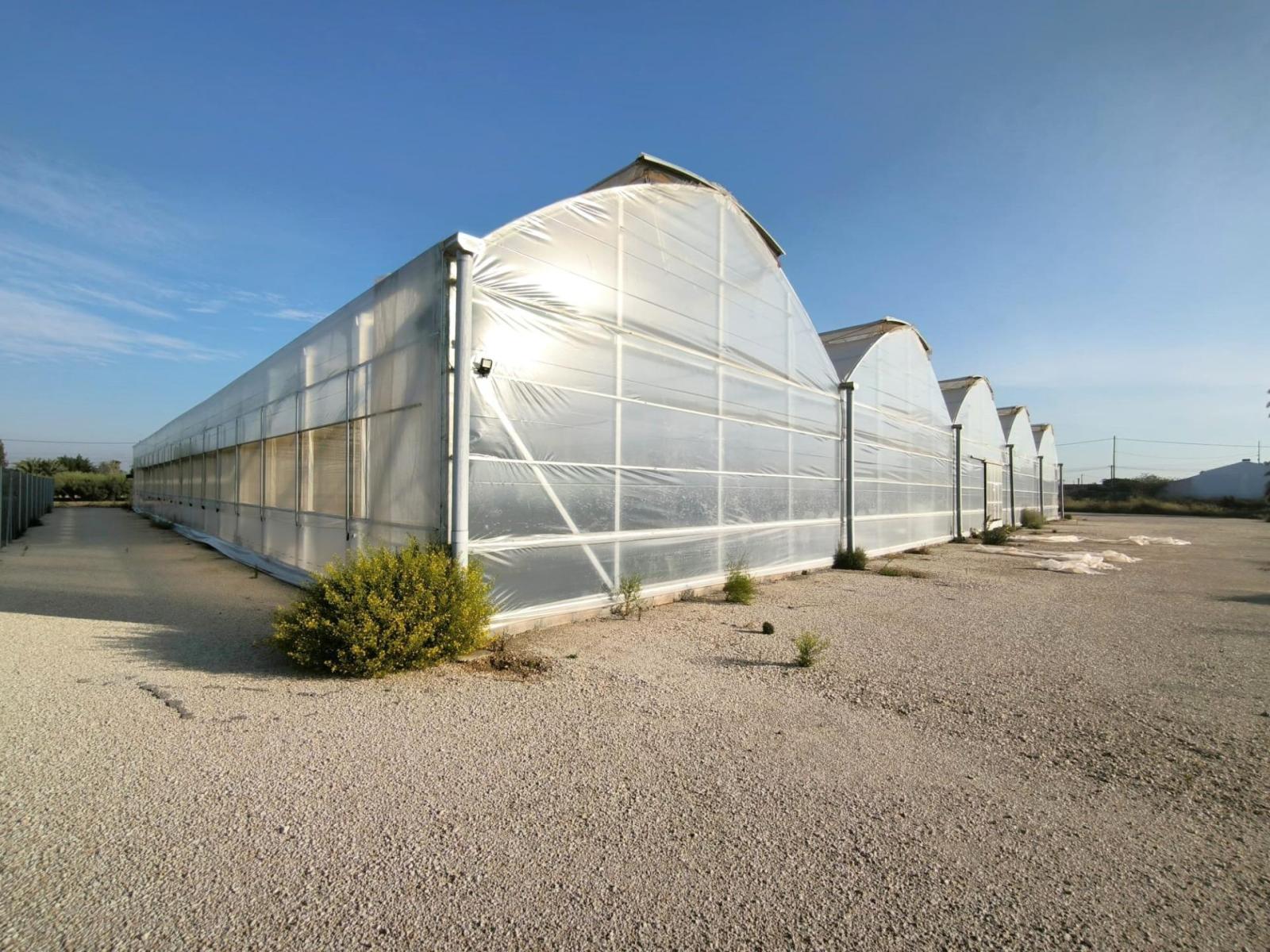 Parcela en Venta en Elche