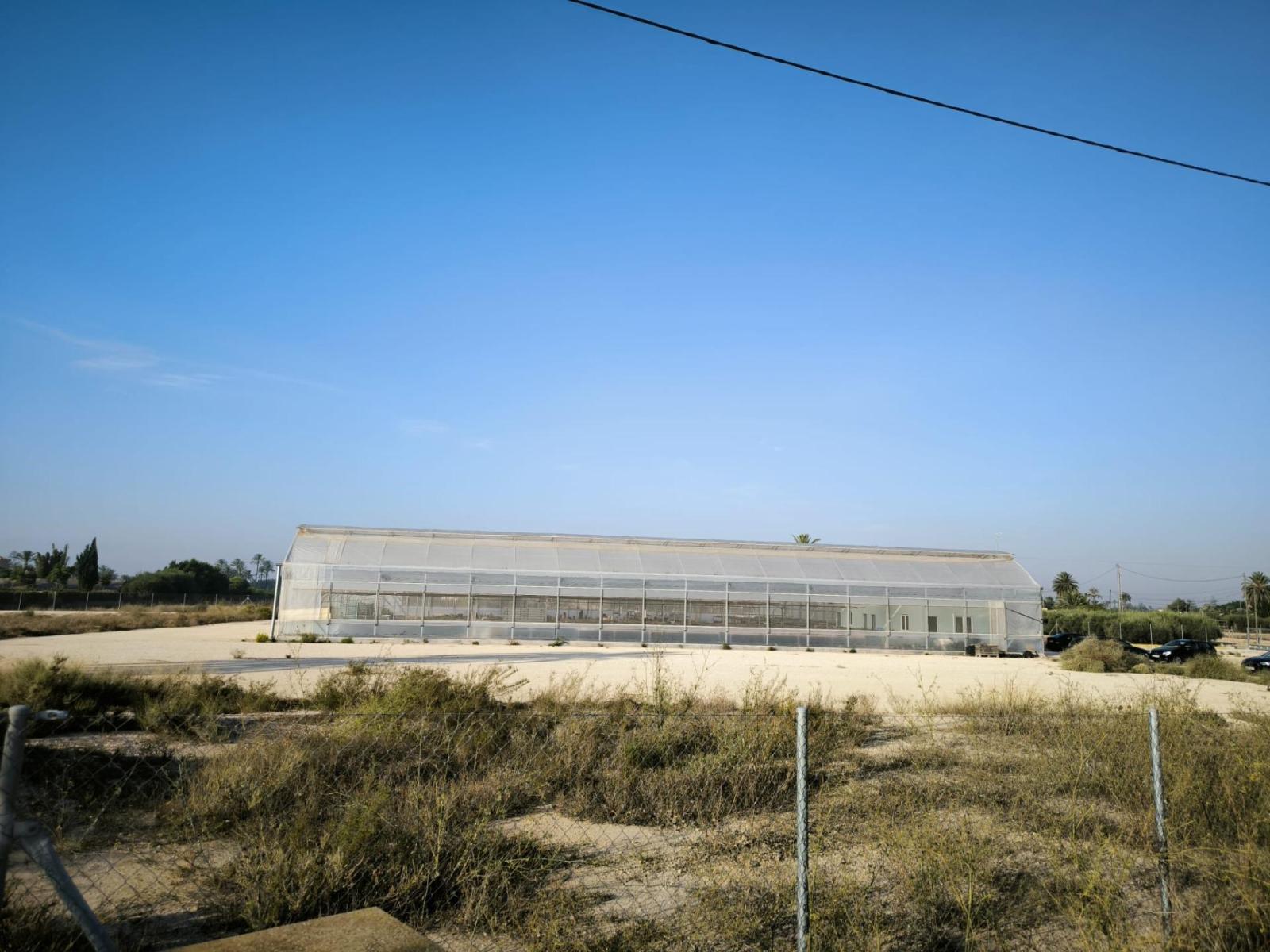 Parcela en Venta en Elche