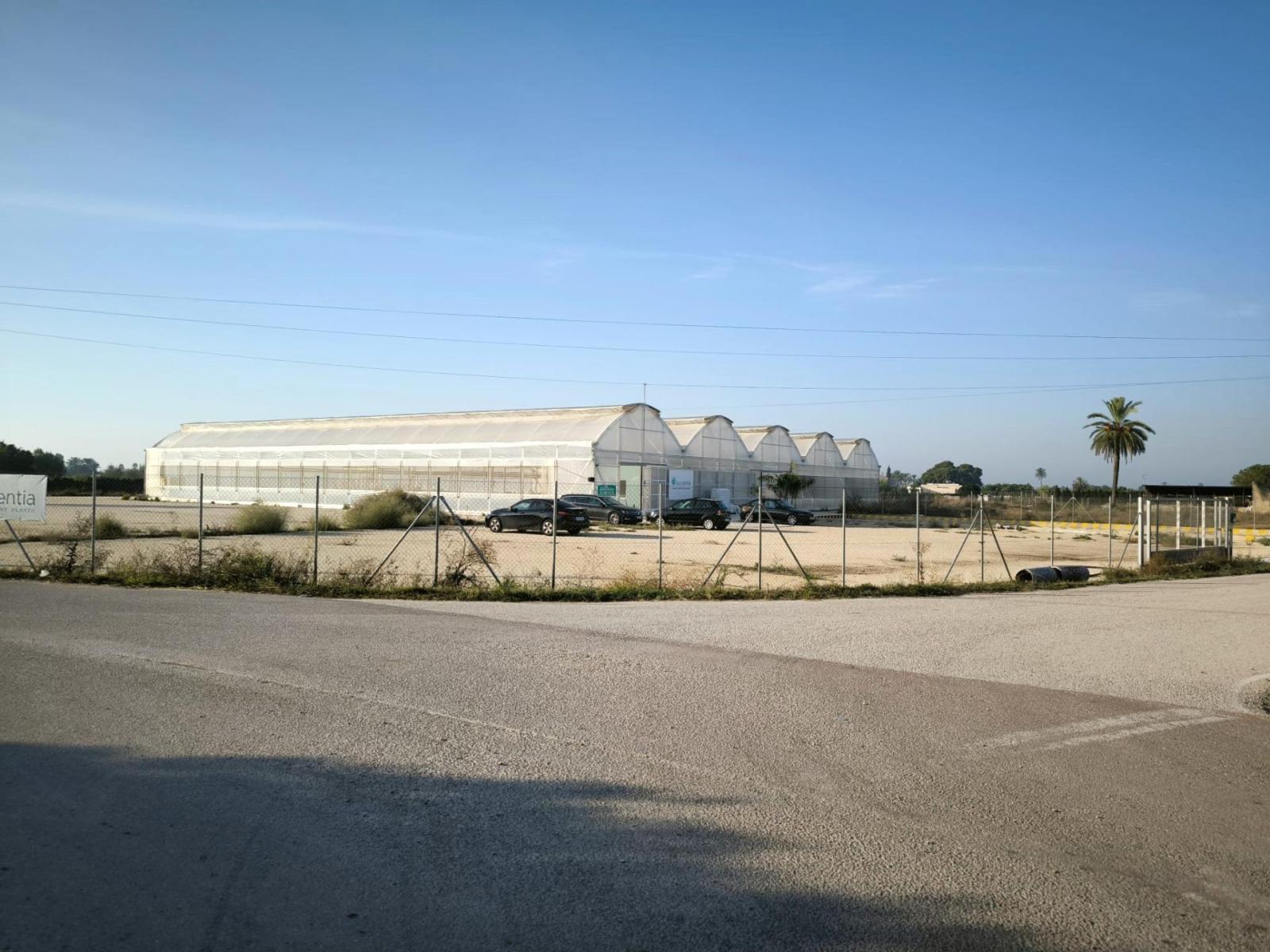 Parcela en Venta en Elche