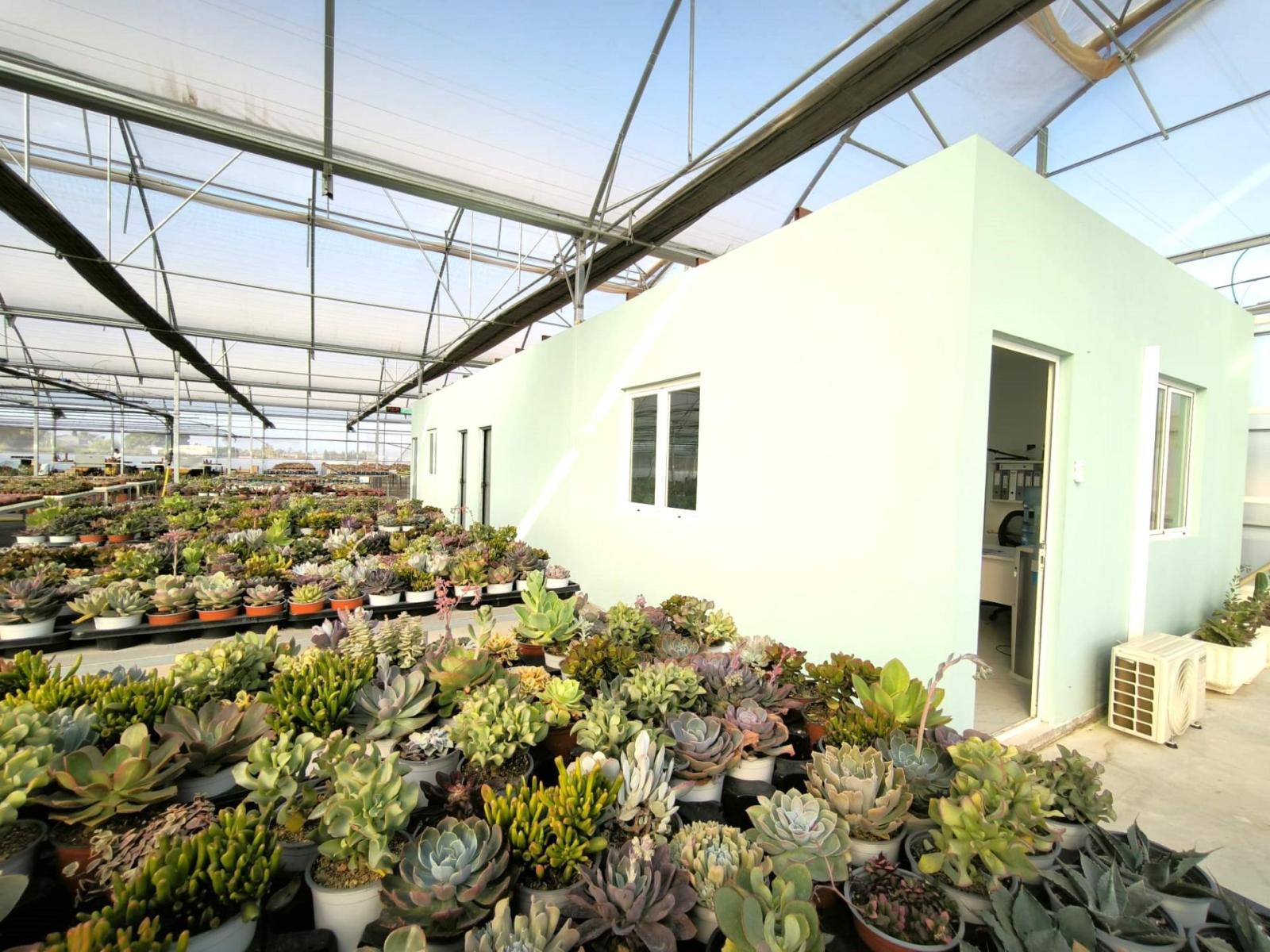 Parcela en Venta en Elche