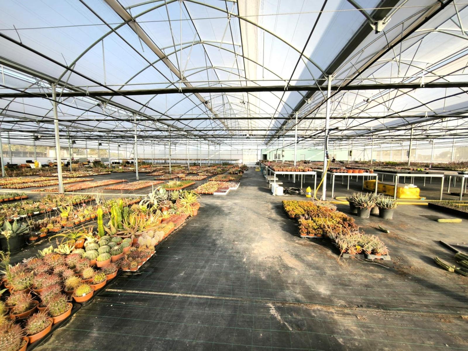 Parcela en Venta en Elche
