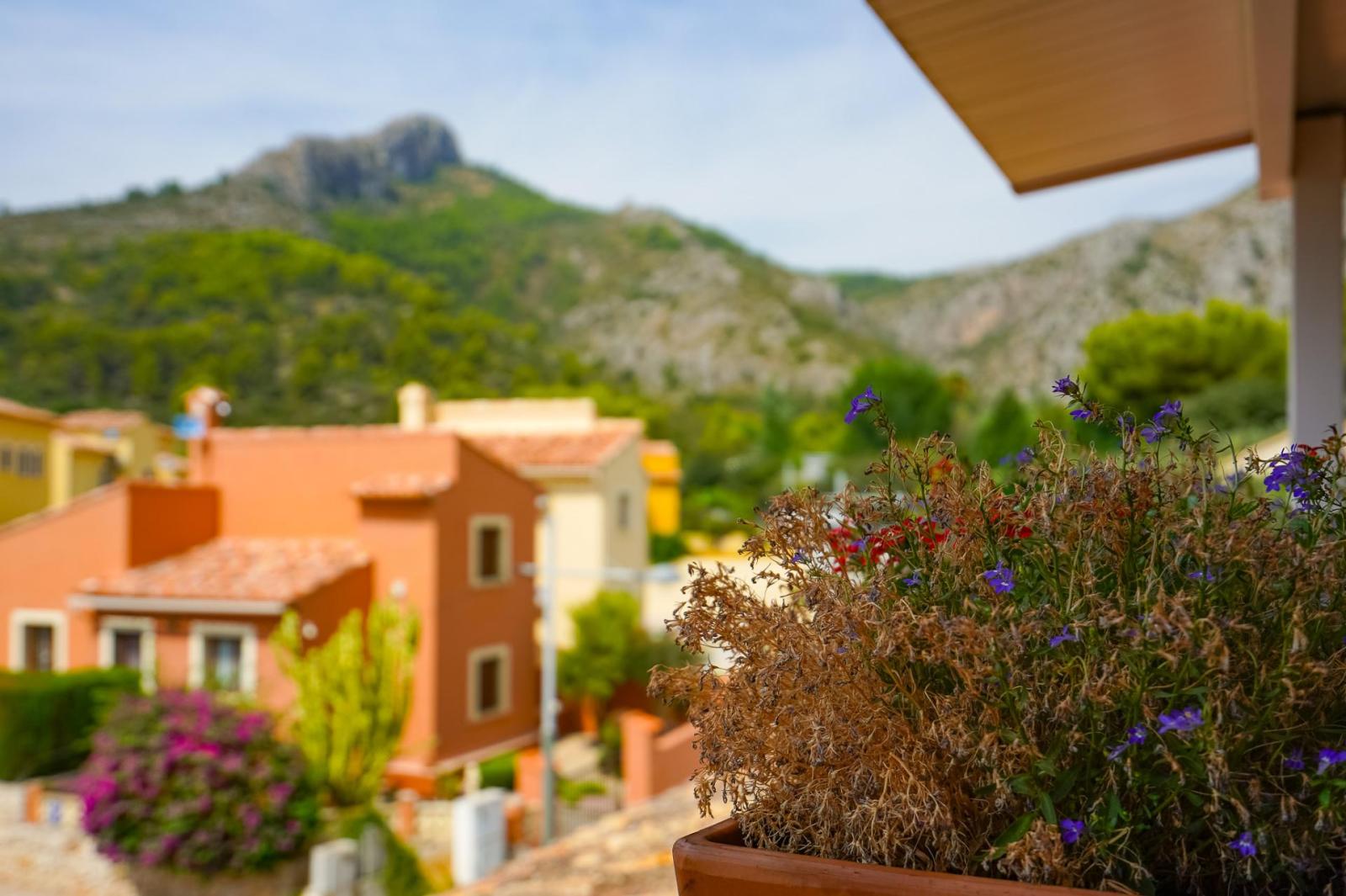 Premise for Sale in Sagra