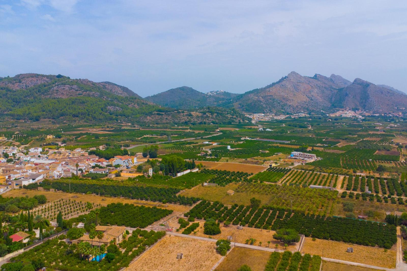 Premise for Sale in Sagra