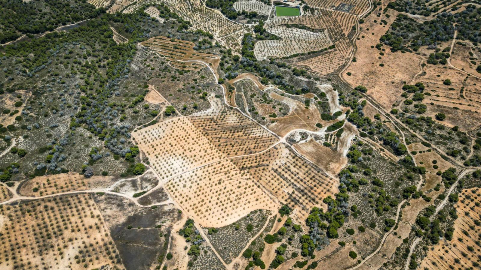 Parcela en Venta en Murcia