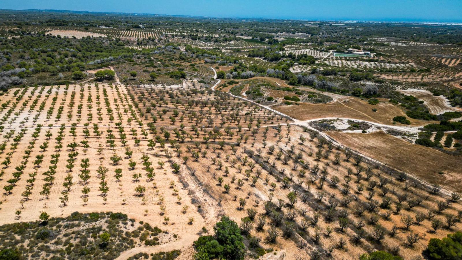 Parcela en Venta en Murcia