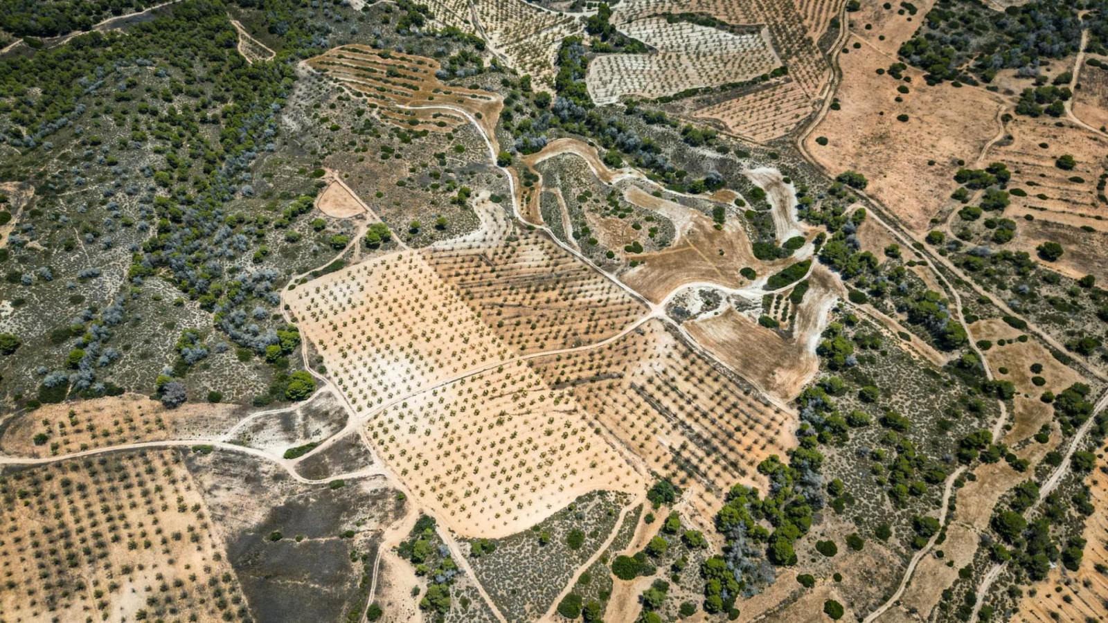 Parcela en Venta en Murcia