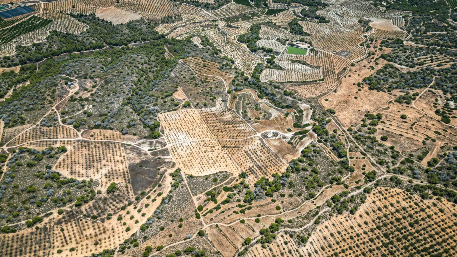 Parcela en Venta en Murcia