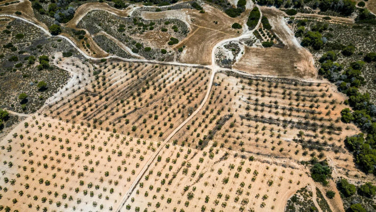 Parcela en Venta en Murcia