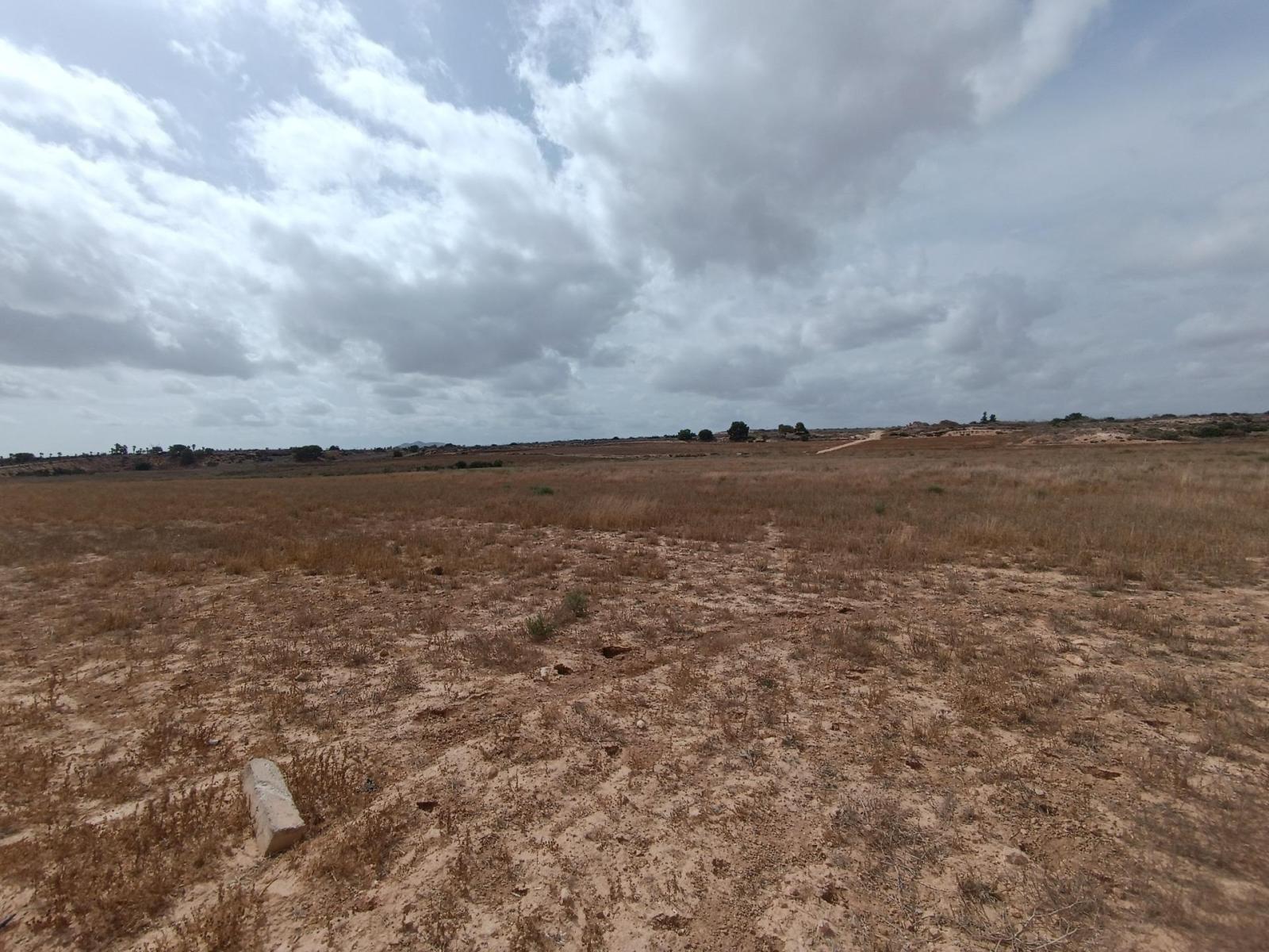 Plot for Sale in Murcia