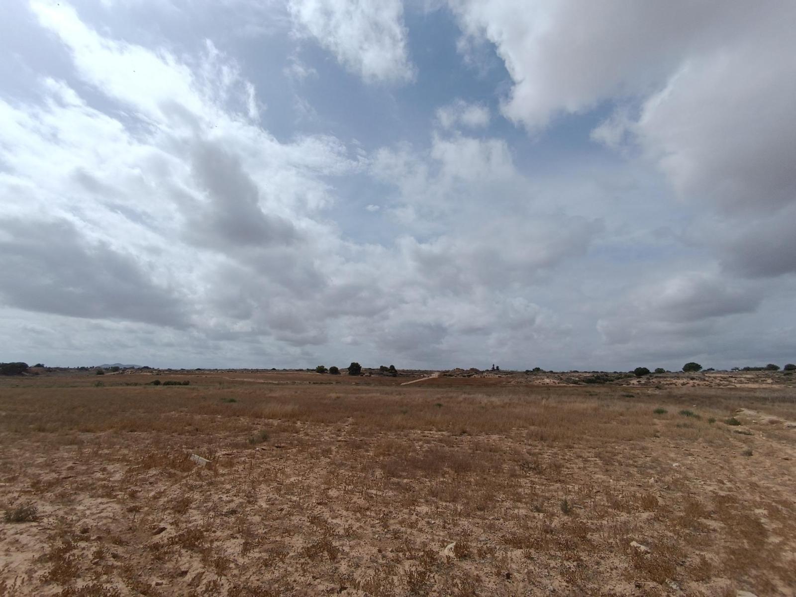 Plot for Sale in Murcia