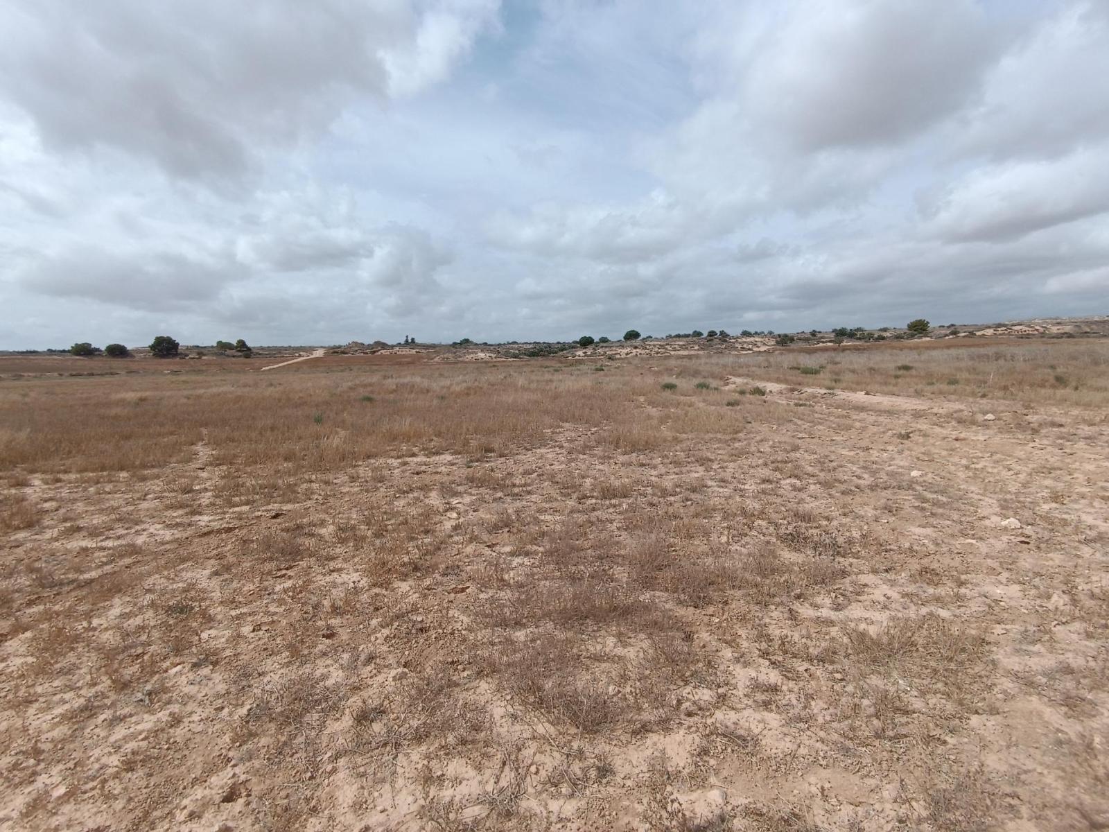 Plot for Sale in Murcia