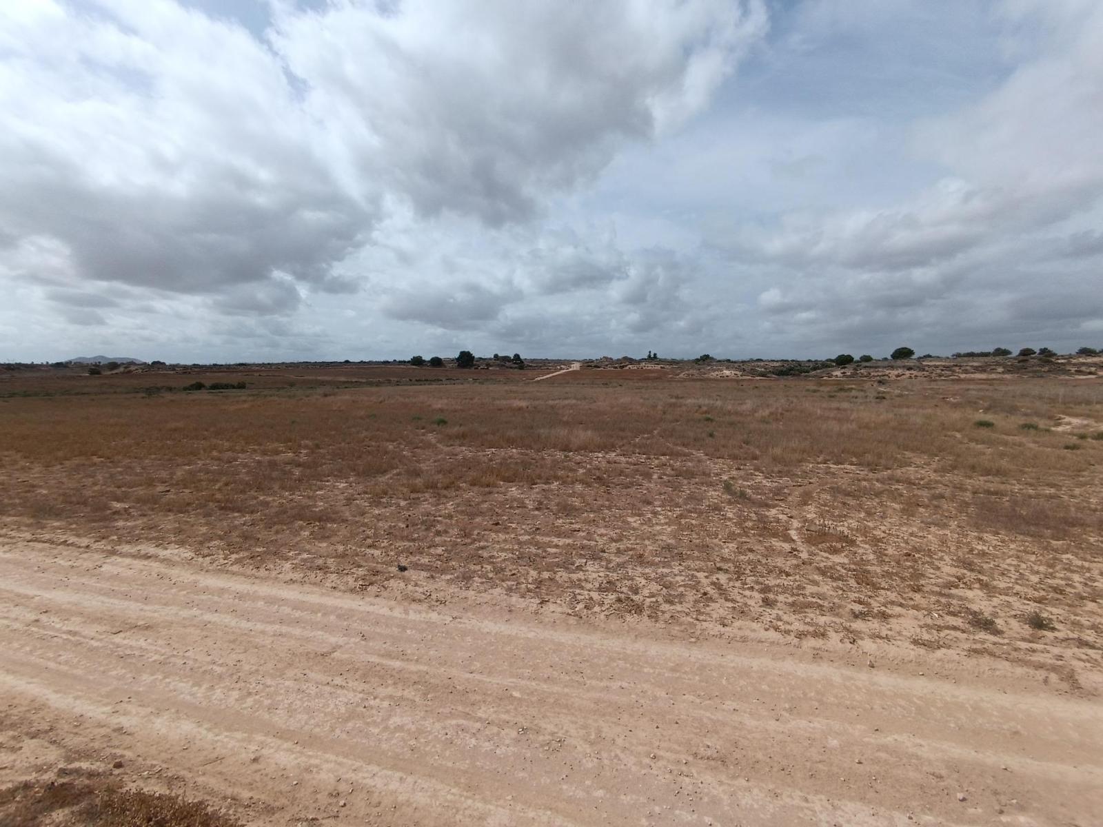 Plot for Sale in Murcia