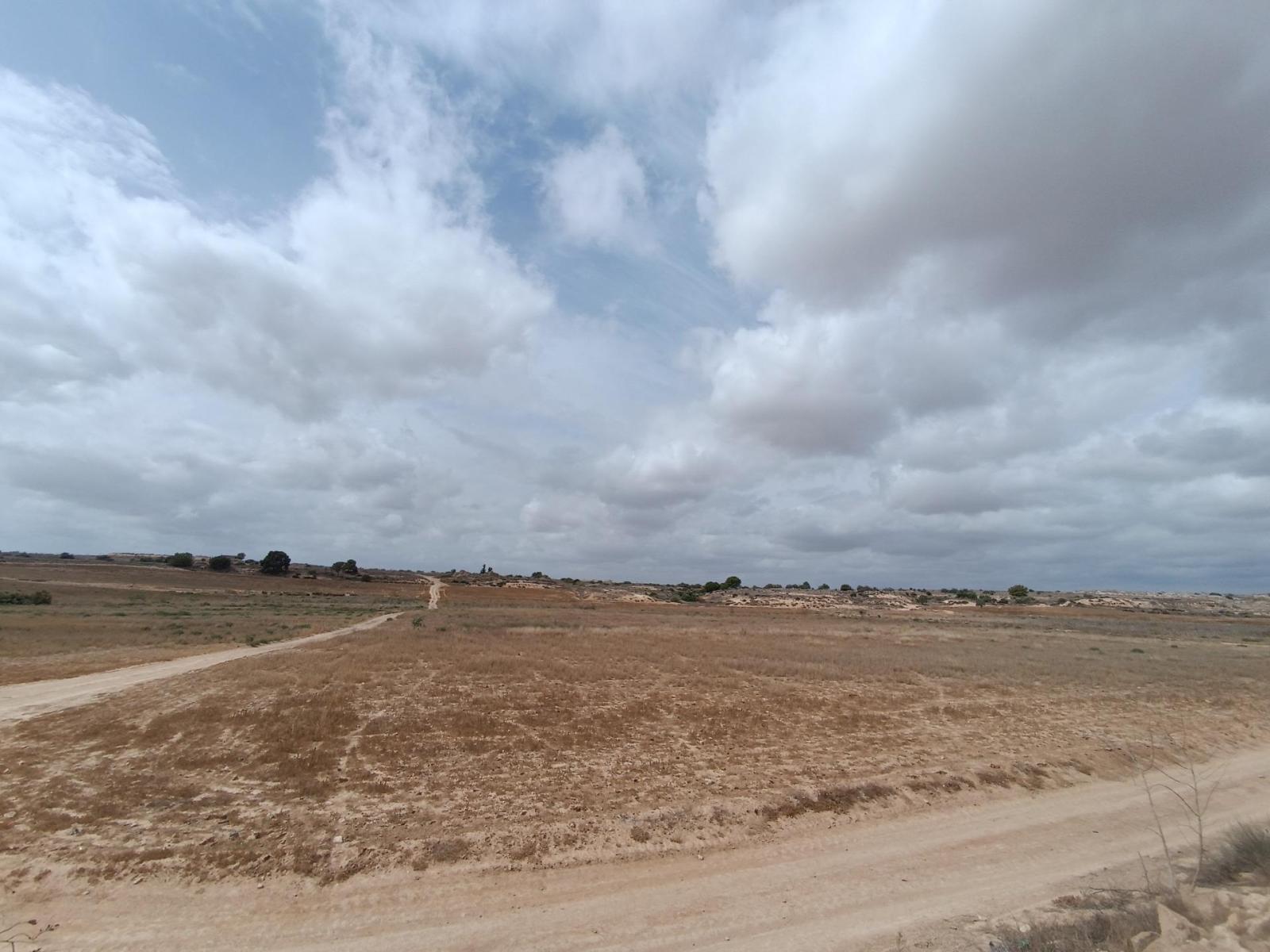 Plot for Sale in Murcia