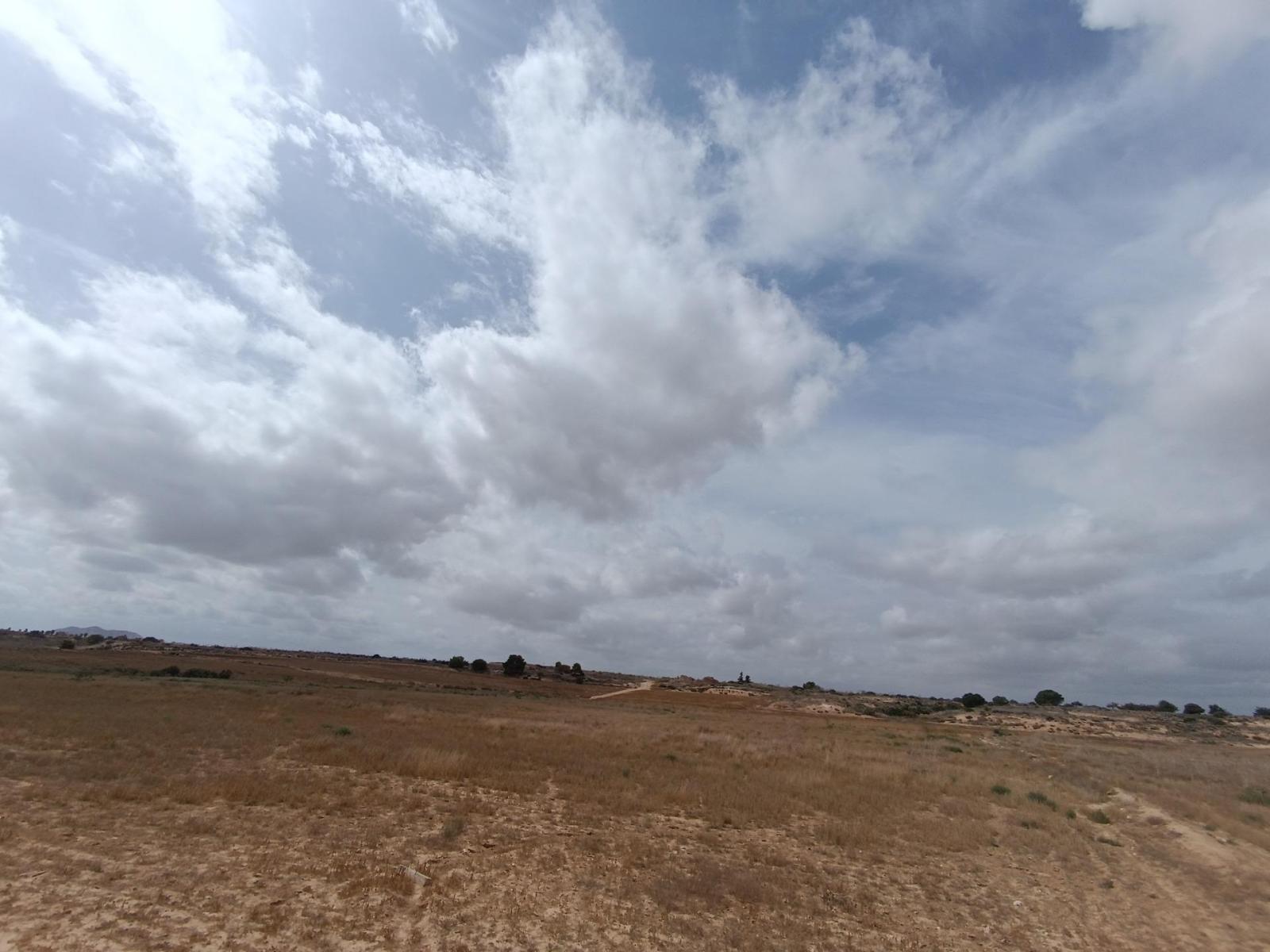 Plot for Sale in Murcia