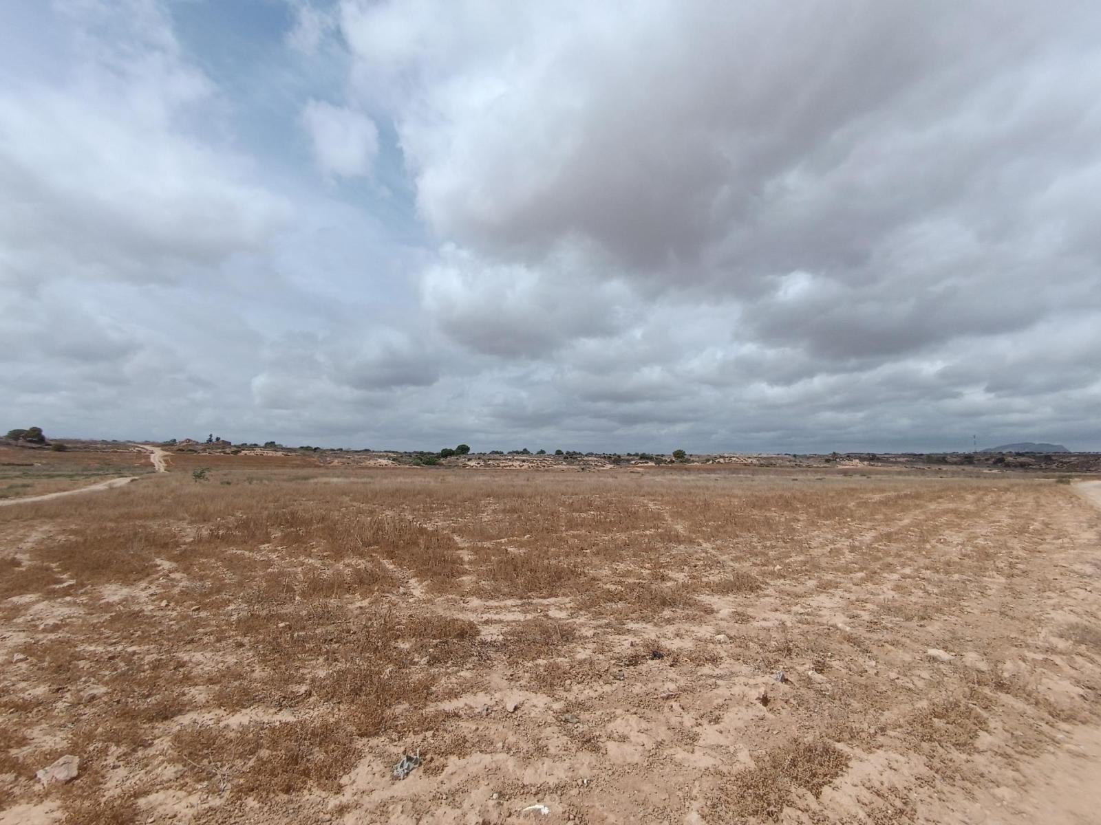 Plot for Sale in Murcia