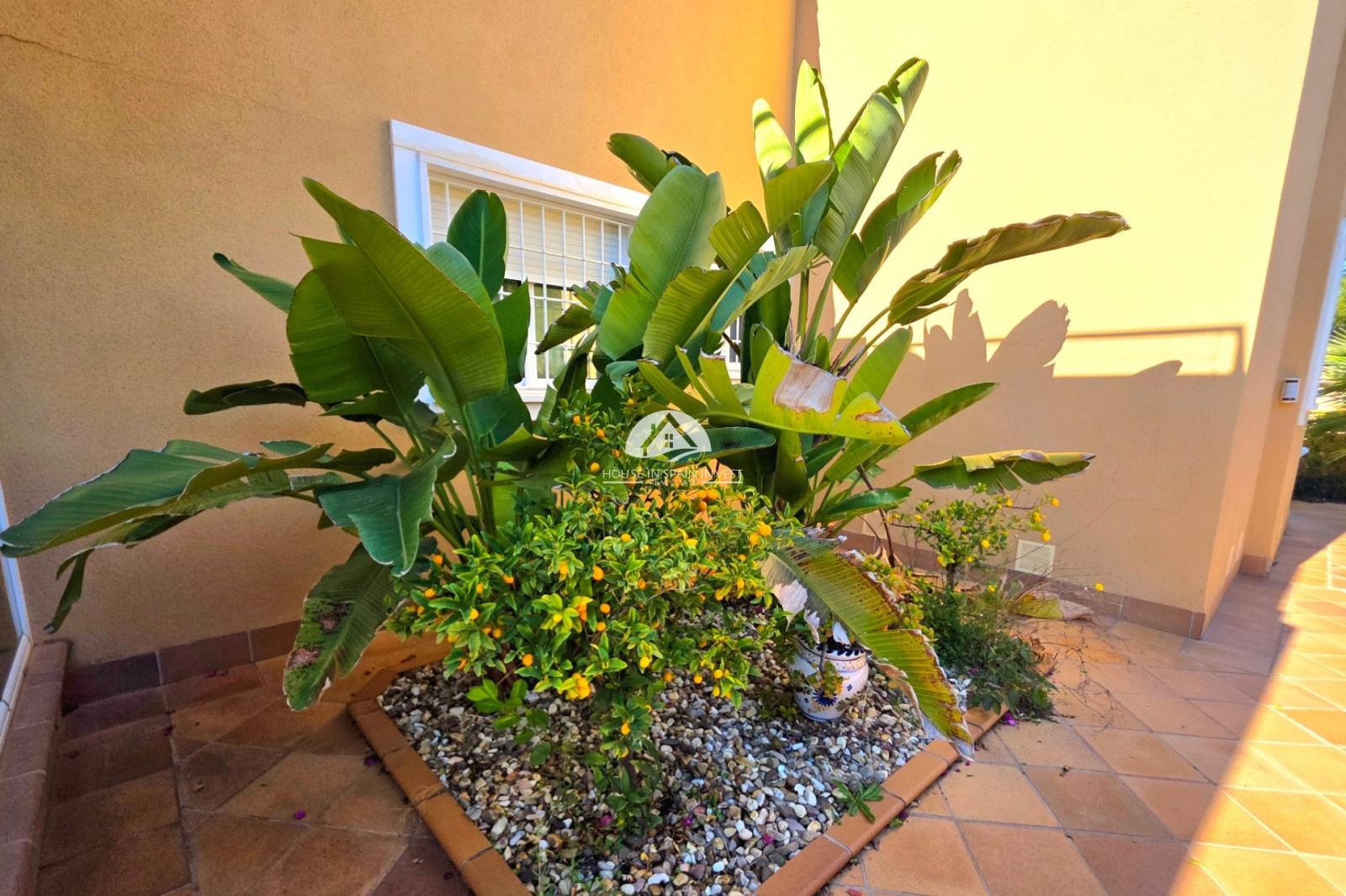Villa en Venta en Torrevieja