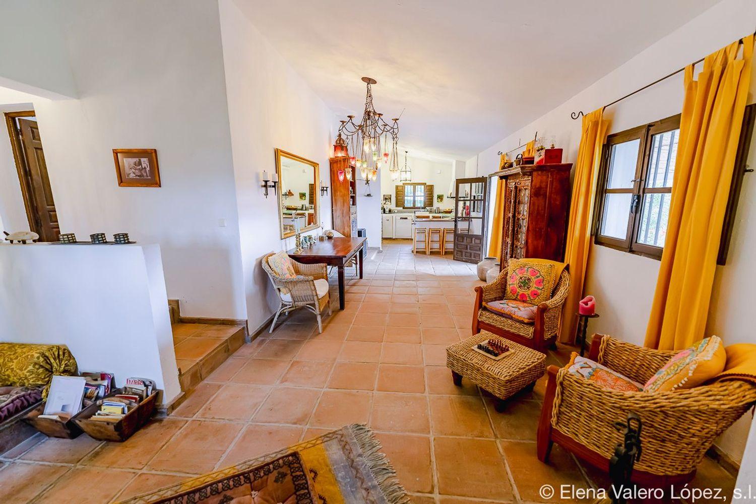 House for Sale in Alcaucín