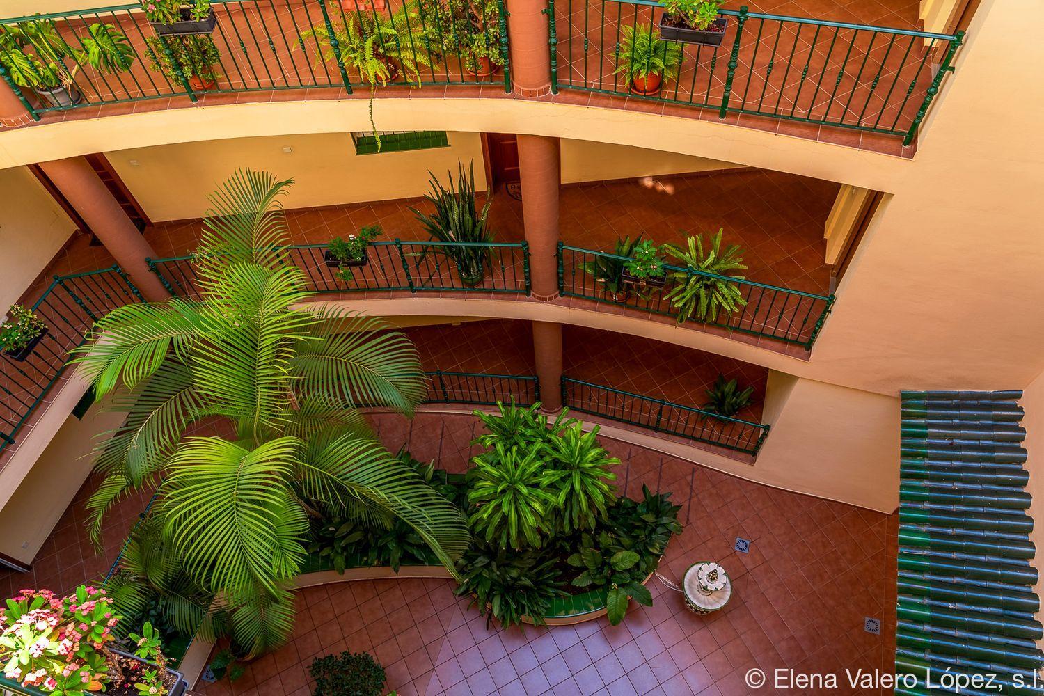 Flat for Sale in Torrox