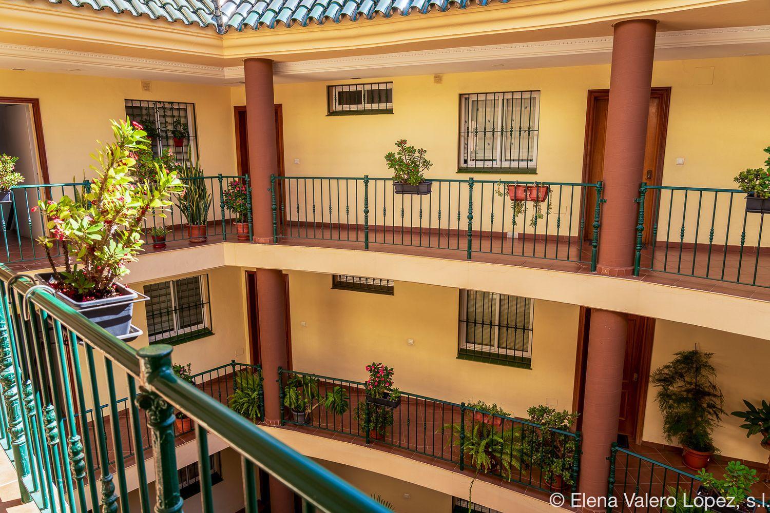 Flat for Sale in Torrox