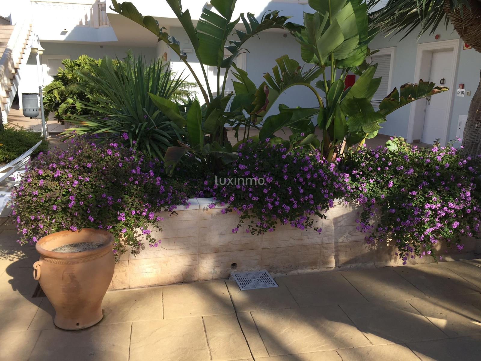 Apartamento en Venta en Benissa