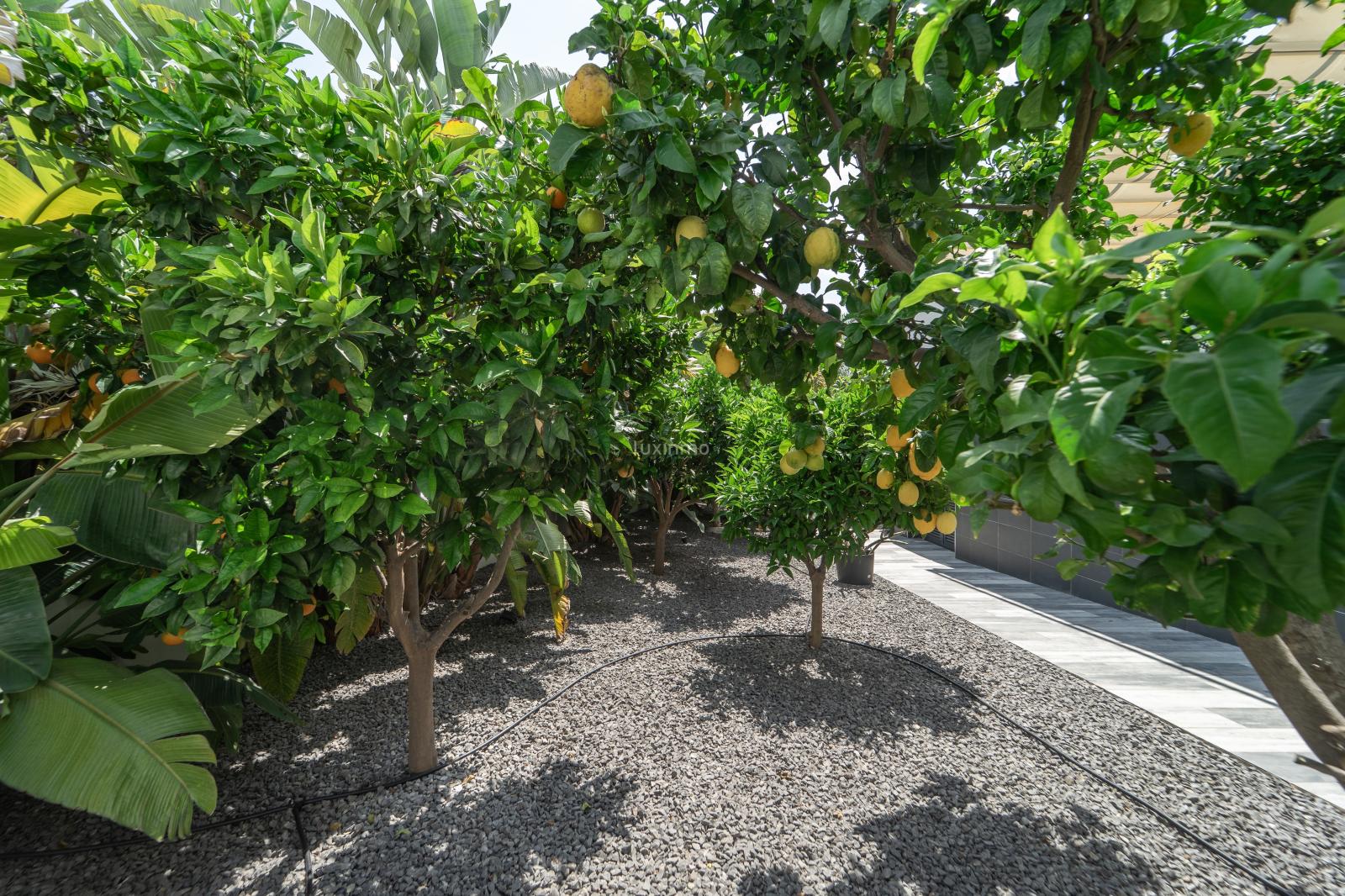 Casa en Venta en Calpe