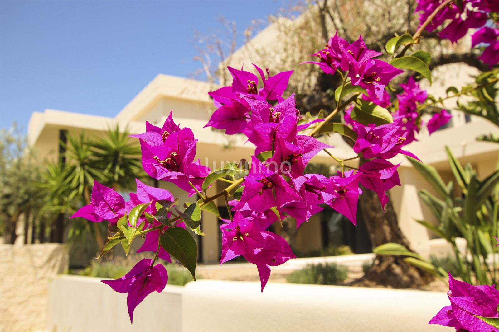 Chalet for Sale in San Fulgencio