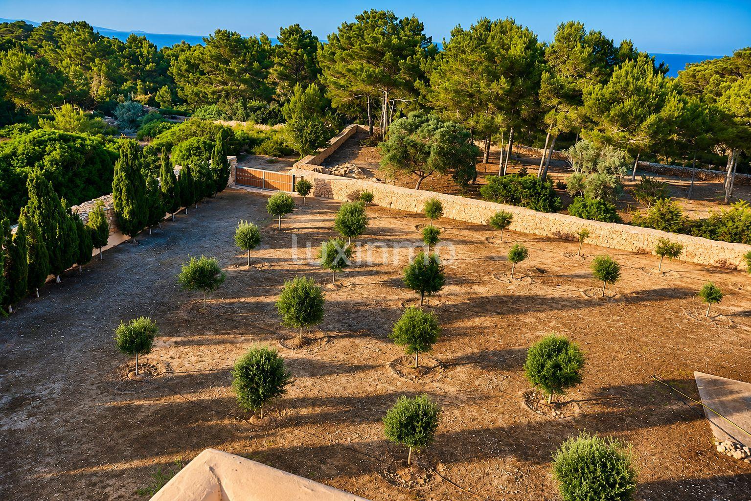 Chalet for Sale in Formentera
