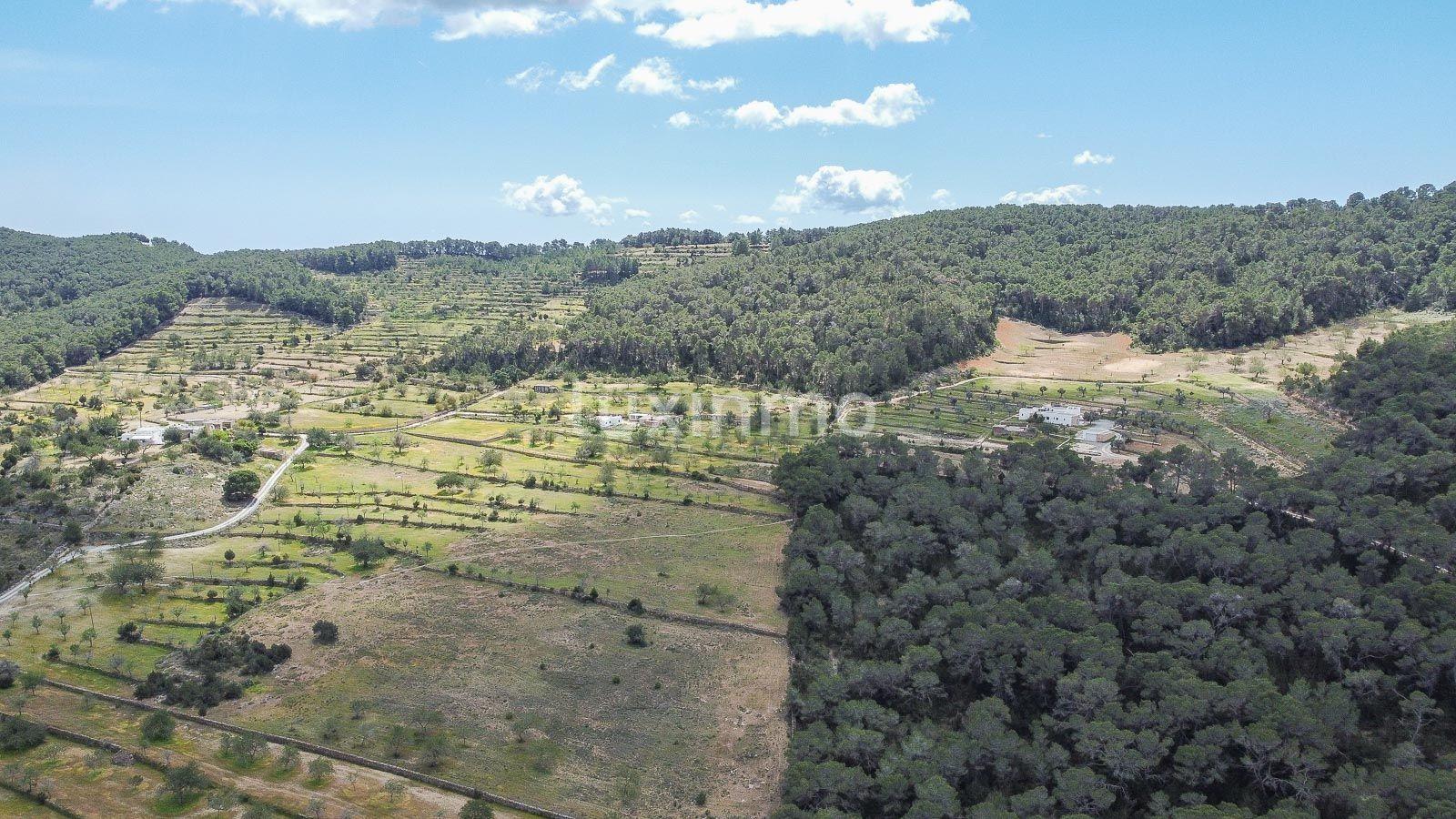 Building Site for Sale in Sant Antoni de Portmany