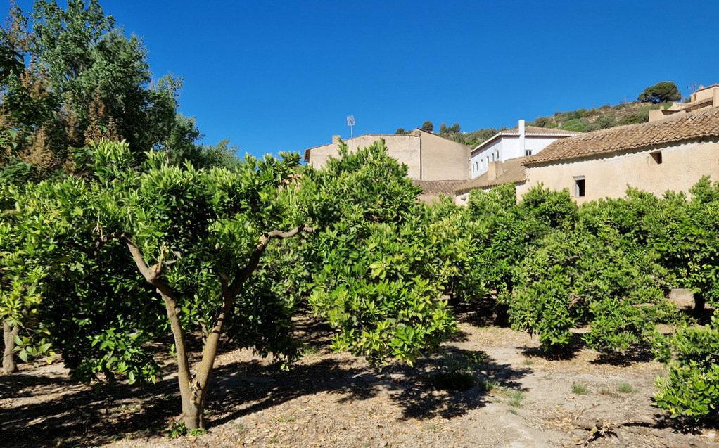 Building Site for Sale in El Valle