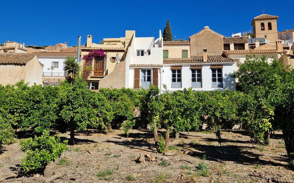 Building Site for Sale in El Valle