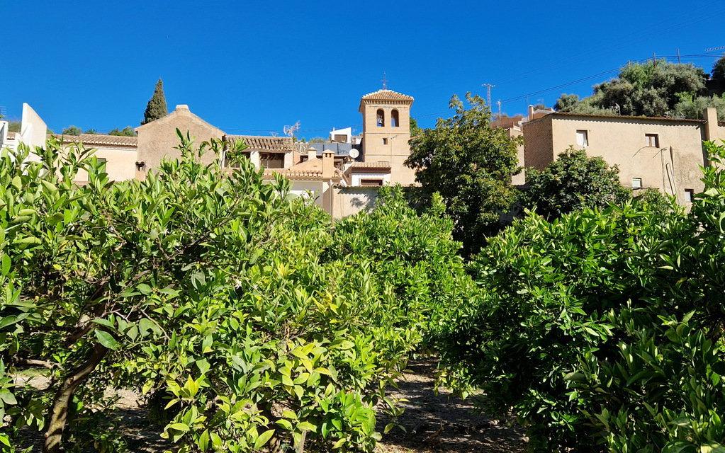 Building Site for Sale in El Valle